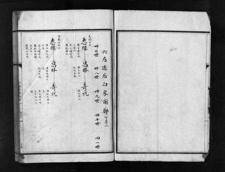 浙江张氏族谱-塔头张氏族谱 [残卷].pdf电子版预览图3