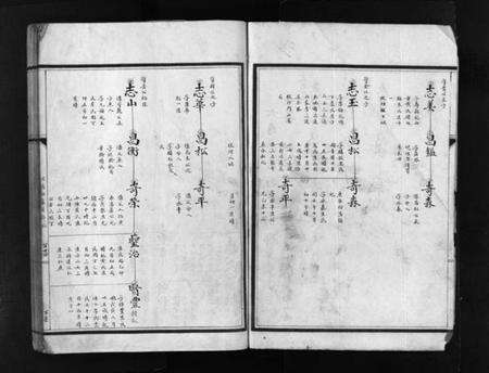 浙江张氏族谱-塔头张氏族谱 [残卷].pdf电子版预览图4