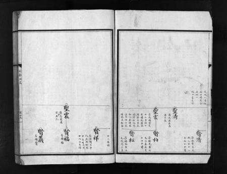 浙江张氏族谱-塔头张氏族谱 [残卷].pdf电子版预览图5