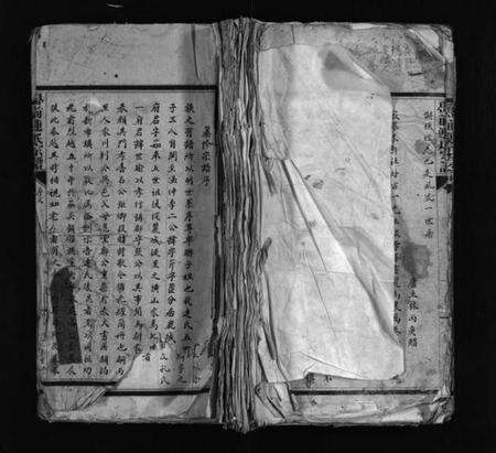 浙江连氏族谱-壆前连氏宗谱 [不分卷].pdf电子版预览图1