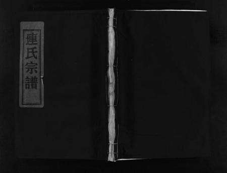 浙江连氏族谱-壆前连氏宗谱 [不分卷].pdf电子版预览图1