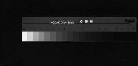 浙江胡氏族谱-夏川胡氏宗谱 [11卷].pdf电子版缩略图