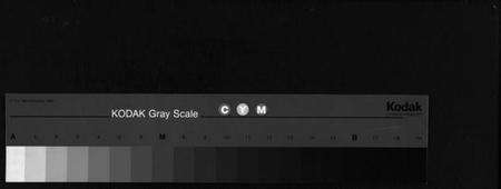 浙江胡氏族谱-夏川胡氏宗谱 [3卷].pdf电子版缩略图
