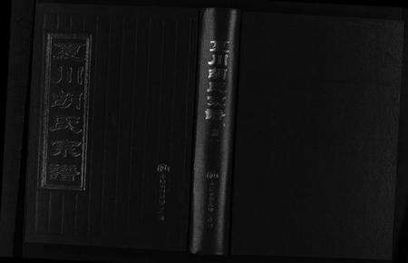 浙江胡氏族谱-夏川胡氏宗谱 [3卷].pdf电子版预览图1