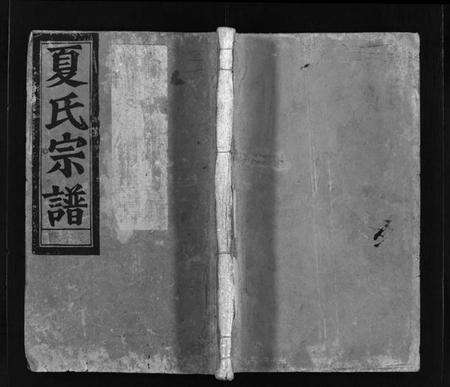 浙江夏氏族谱-夏氏宗谱 [不分卷].pdf电子版预览图1