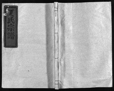 浙江夏氏族谱-夏氏宗谱 [不标卷数].pdf电子版预览图1