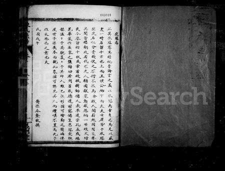 湖北陈氏族谱-陈氏宗谱.pdf电子版预览图1