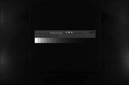 浙江陈氏族谱-大林陈氏宗谱 [9卷,含首1卷].pdf电子版缩略图