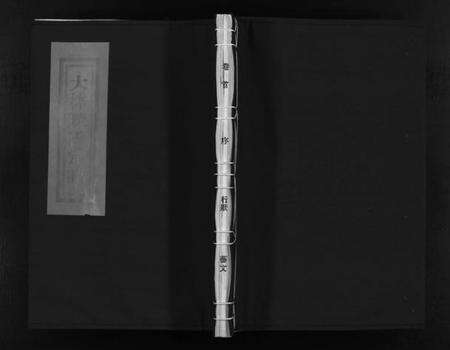 浙江陈氏族谱-大林陈氏宗谱 [9卷,含首1卷].pdf电子版预览图1