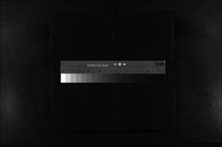 浙江陈氏族谱-大林陈氏宗谱 [残卷].pdf电子版缩略图