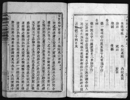 浙江陈氏族谱-大杨陈氏宗谱 [4卷].pdf电子版预览图5