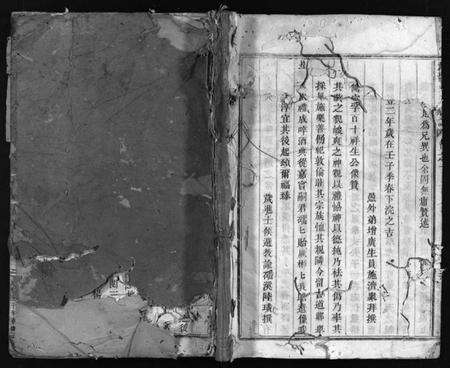 浙江陈氏族谱-大杨陈氏宗谱 [残卷].pdf电子版预览图1