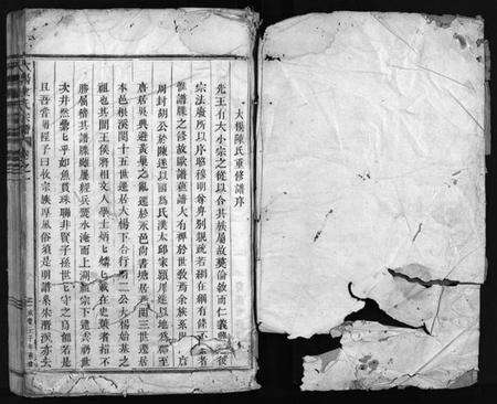 浙江陈氏族谱-大杨陈氏宗谱 [残卷].pdf电子版预览图2