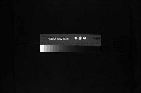 浙江洪氏族谱-大经堂枫木墩洪氏宗谱 [7卷,首2卷].pdf电子版缩略图