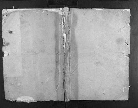 浙江胡氏族谱-大胡胡氏宗谱[2卷].pdf电子版缩略图