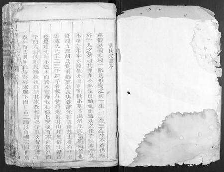 浙江胡氏族谱-大胡胡氏宗谱[2卷].pdf电子版预览图1