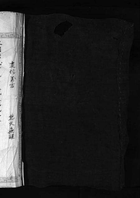 浙江李氏族谱-大茅岭李氏宗谱 [不分卷].pdf电子版预览图2