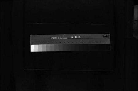 浙江李氏族谱-大茅岭李氏宗谱 [不分卷].pdf电子版缩略图