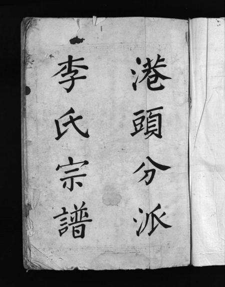 浙江李氏族谱-大茅岭李氏宗谱 [不分卷].pdf电子版预览图3