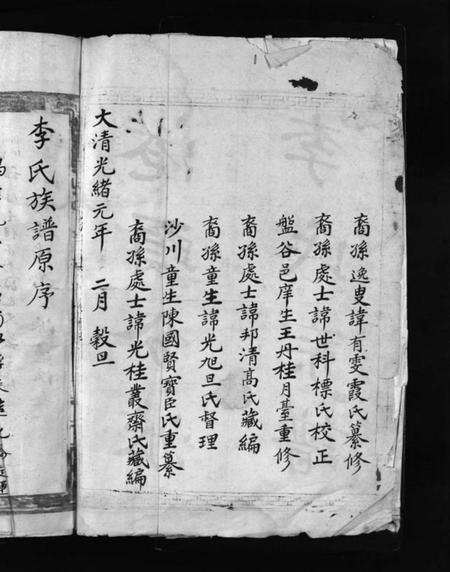 浙江李氏族谱-大茅岭李氏宗谱 [不分卷].pdf电子版预览图4