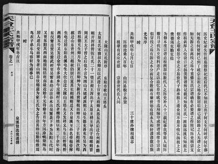 浙江王氏族谱-天台王氏宗谱 [28卷].pdf电子版预览图4