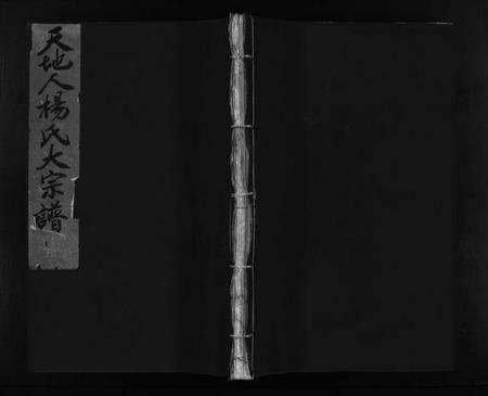 浙江杨氏族谱-天地人杨氏大宗谱 [不分卷].pdf电子版预览图1