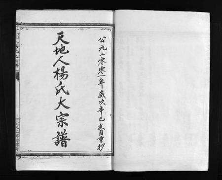 浙江杨氏族谱-天地人杨氏大宗谱 [不分卷].pdf电子版预览图2