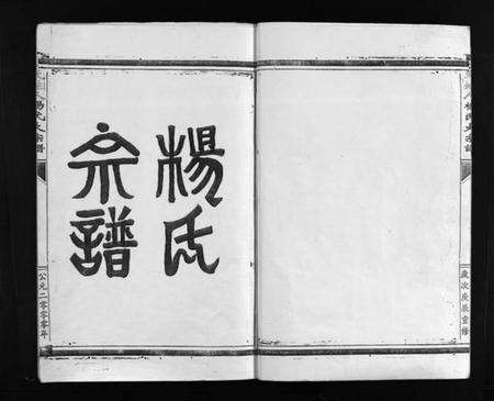 浙江杨氏族谱-天地人杨氏大宗谱 [不分卷].pdf电子版预览图3