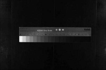 浙江高氏族谱-天泉高氏宗谱 [3卷].pdf电子版缩略图