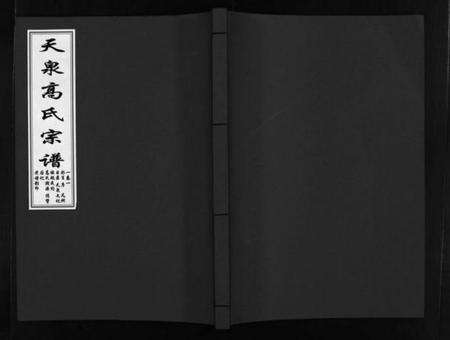 浙江高氏族谱-天泉高氏宗谱 [3卷].pdf电子版预览图1