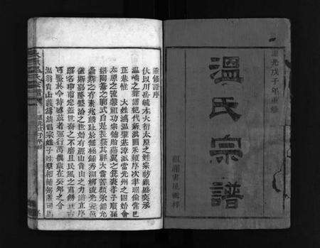 浙江温氏族谱-太原郡温氏宗谱 [2卷].pdf电子版预览图2