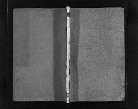 浙江温氏族谱-太原郡温氏宗谱 [3卷].pdf电子版预览图1