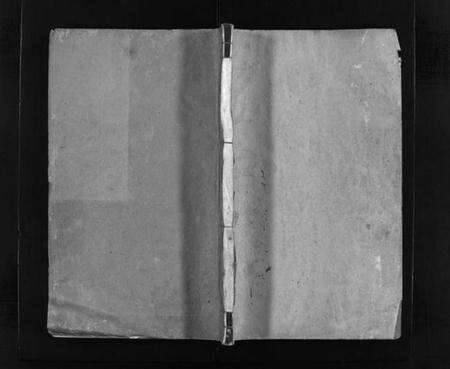 浙江温氏族谱-太原郡温氏宗谱 [不分卷].pdf电子版预览图1