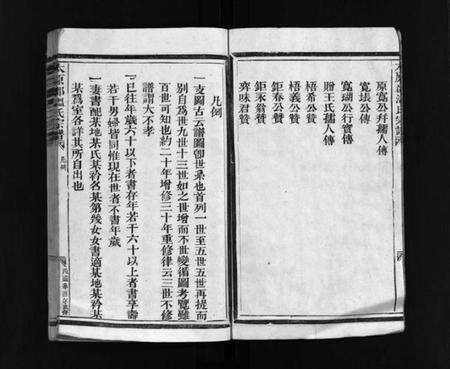 浙江温氏族谱-太原郡温氏宗谱 [不分卷].pdf电子版预览图3