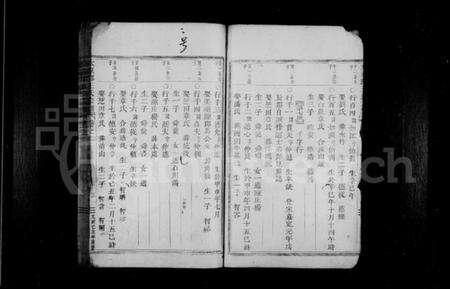 浙江王氏族谱-太原郡王氏宗谱.pdf电子版预览图5