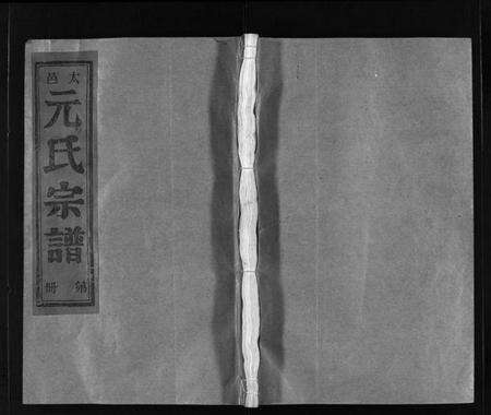 浙江元氏族谱-太邑元氏宗谱 [不分卷].pdf电子版预览图1