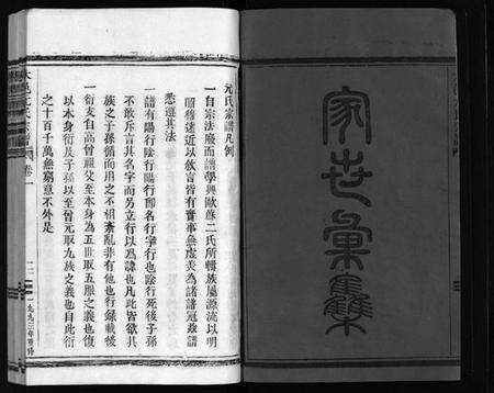 浙江元氏族谱-太邑元氏宗谱 [不分卷].pdf电子版预览图3