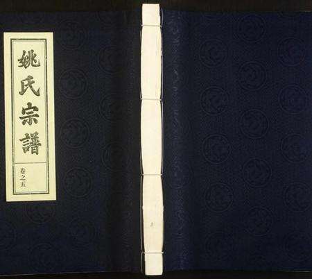 浙江姚氏族谱-姚氏宗谱.pdf电子版缩略图