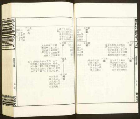 浙江姚氏族谱-姚氏宗谱.pdf电子版预览图5