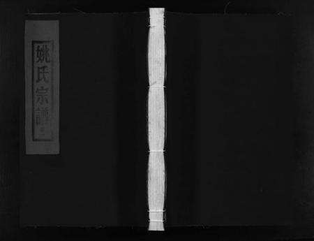 浙江姚氏族谱-姚氏宗谱 [3卷].pdf电子版预览图1