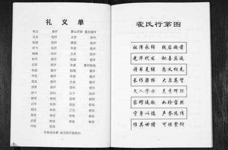 浙江霍氏族谱-姚江洋山霍氏化坝袋宗谱.pdf电子版预览图3