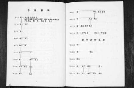 浙江霍氏族谱-姚江洋山霍氏化坝袋宗谱.pdf电子版预览图4