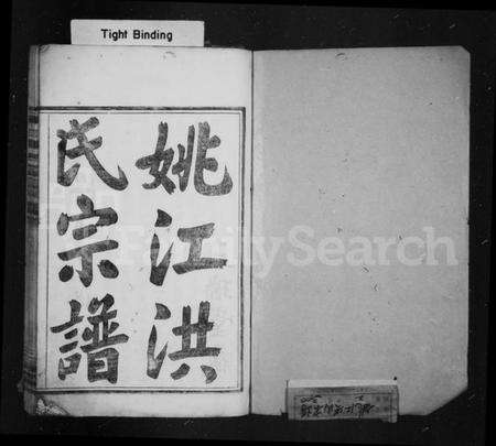 浙江洪氏族谱-姚江洪氏宗谱 [1卷,首1卷].pdf电子版预览图2