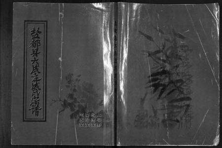 江苏成氏族谱-盐都县大成庄成氏宗谱[不分卷].pdf电子版缩略图