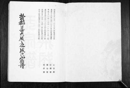 江苏成氏族谱-盐都县大成庄成氏宗谱[不分卷].pdf电子版预览图1