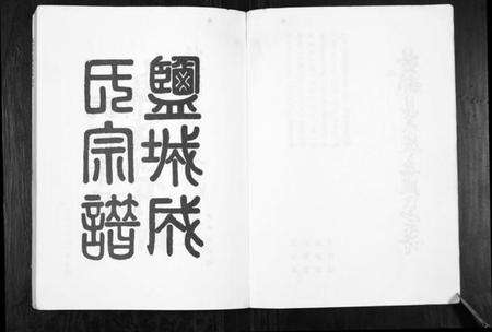 江苏成氏族谱-盐都县大成庄成氏宗谱[不分卷].pdf电子版预览图2