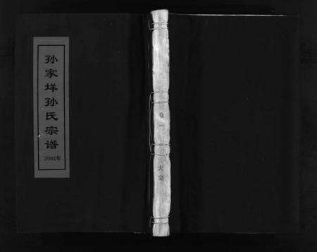 浙江孙氏族谱-孙家垟孙氏宗谱 [3卷].pdf电子版预览图1