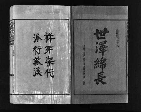 浙江孙氏族谱-孙家垟孙氏宗谱 [3卷].pdf电子版预览图3