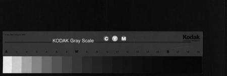 浙江孙氏族谱-孙氏宗谱.pdf电子版缩略图