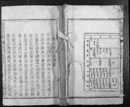 江西程氏族谱-程氏宗谱.pdf电子版缩略图